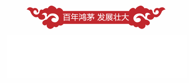 百年鸿茅 发展壮大